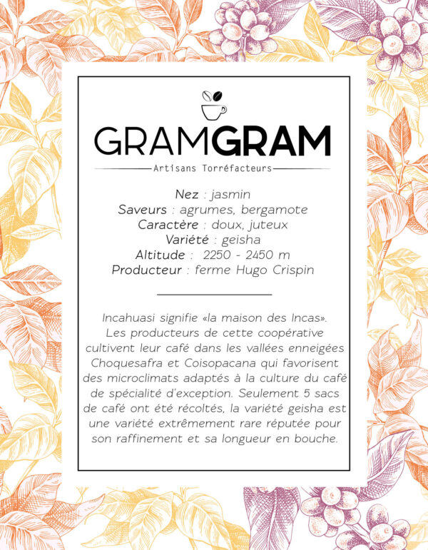 Café PEROU - GEISHA – Image 2