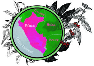 Café Pérou